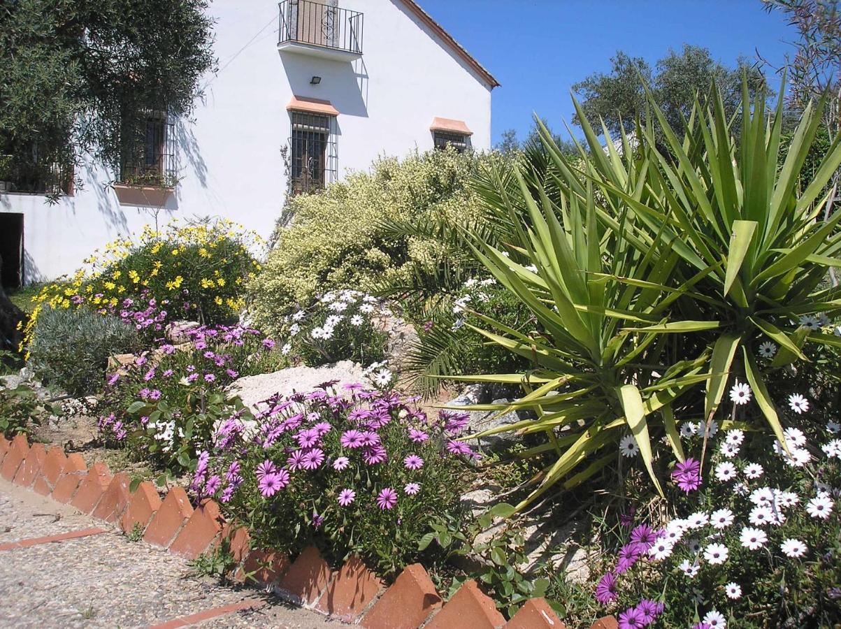 Casa Rural "El Carrasca" El Carrascalejo Exteriör bild