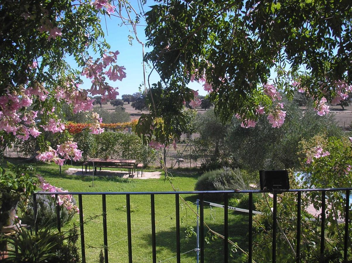 Casa Rural "El Carrasca" El Carrascalejo Exteriör bild