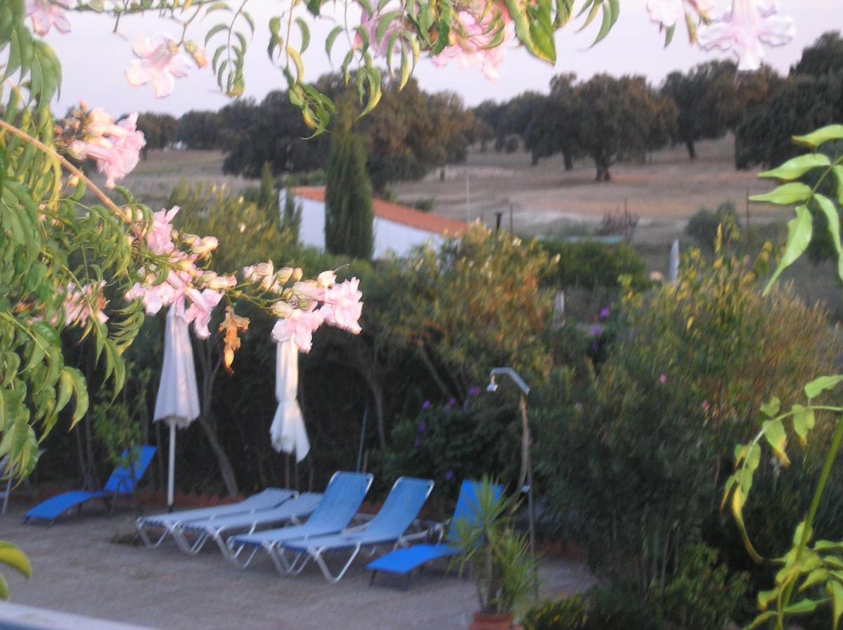 Casa Rural "El Carrasca" El Carrascalejo Exteriör bild