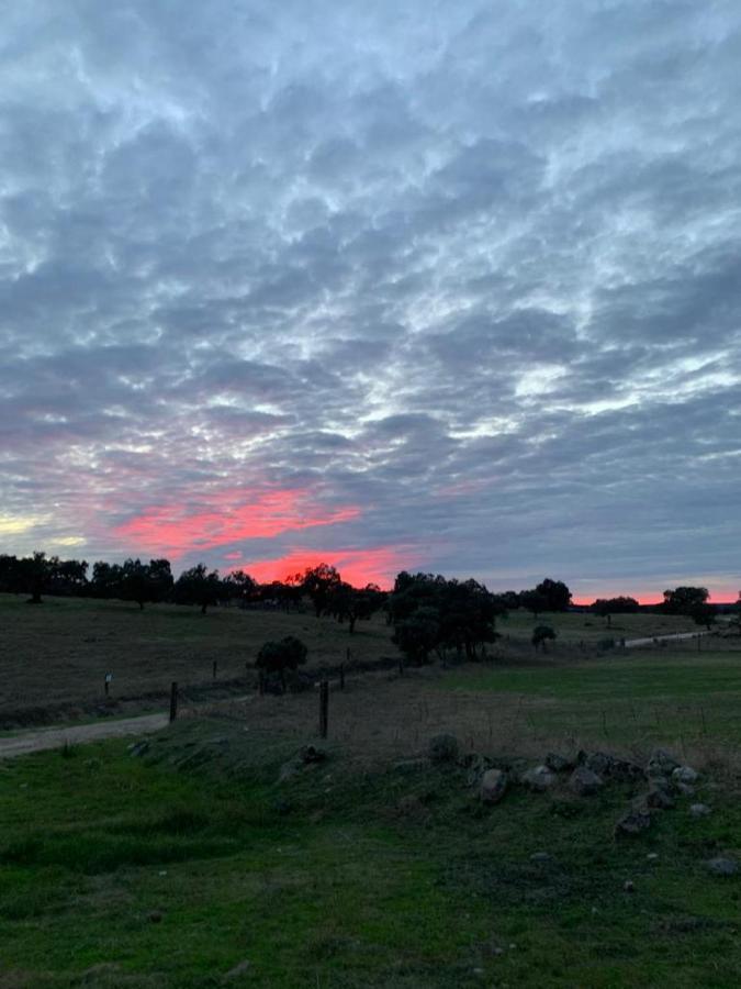 Casa Rural "El Carrasca" El Carrascalejo Exteriör bild